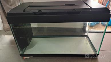 Acquario 120lt con lampada 