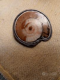 Spilla vintage con ammonite