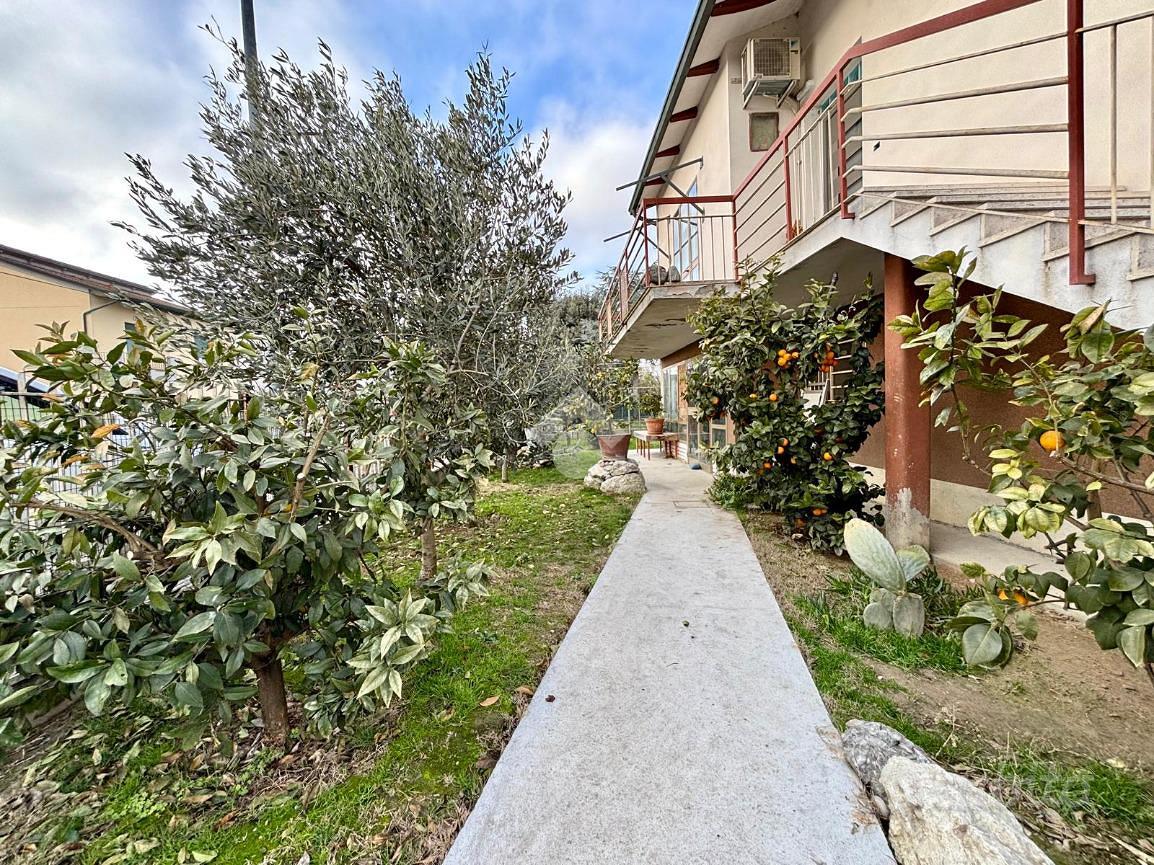 House in Alfonsine, Ravenna - Vista 3