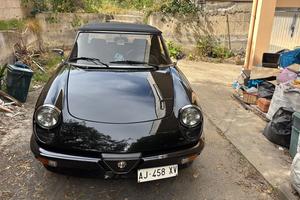 Alfa spider duetto 1.6