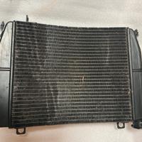 Radiatore Aprilia Rs660