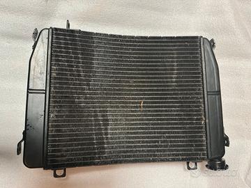 Radiatore Aprilia Rs660