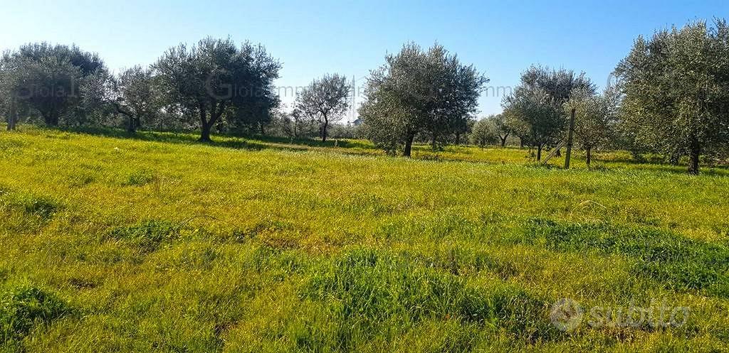 Terreno di 3360 m² a Sessa Aurunca - Vista 4