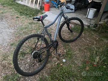 Bici mtb