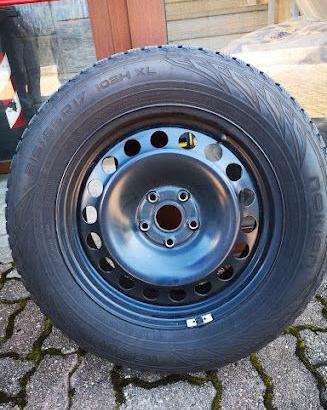 GOMME TERMICHE