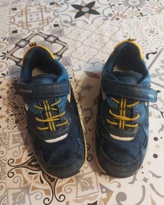 scarpe Geox bambino,34