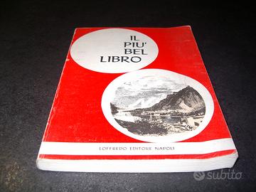 Il Più Bel Libro Ugo M. Palanza I Promessi Sposi M