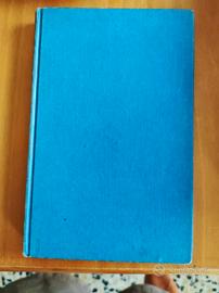 Stefanino di Aldo Palazzeschi