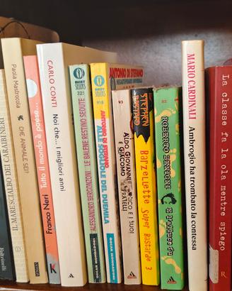 📚 Lotto libri ironici – TUTTO a 20€!
