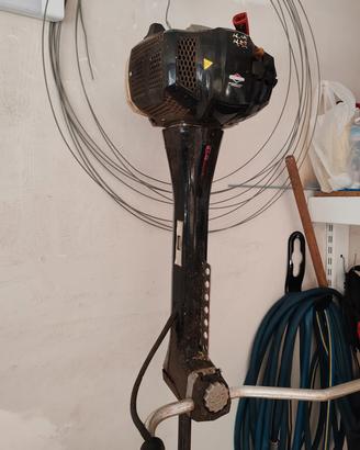 decespugliatore 
