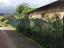 Immagine 16
