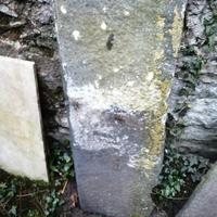 pietra antica 