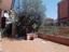 Immagine 18