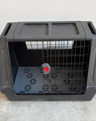 Trasporto cane taglia media