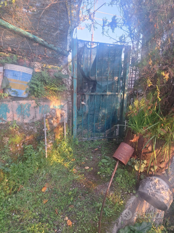 Giardino attrezzato con forno e camino