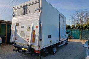 Iveco Daily 50C15 cella frigo pedana idraulica 