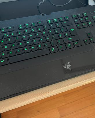Tastiera da gaming Razer Blackwidow