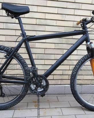 Bici MTB LeeCougan riverniciata a polvere