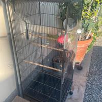 Gabbia per uccelli