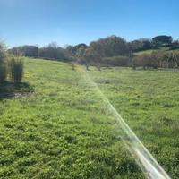 Terreno agricolo