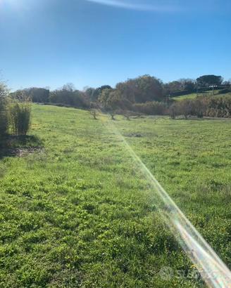 Terreno agricolo