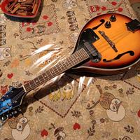 mandolino elettrico Soundsation