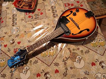 mandolino elettrico Soundsation