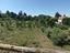 Immagine 23
