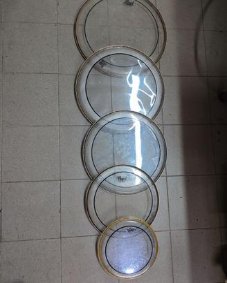 Pelli Remo Pinstripe Set da 5 + 2