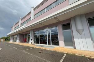 NEGOZIO A SAVIGNANO SUL RUBICONE