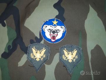 Us Army Alaska Defense Command patches Lot
