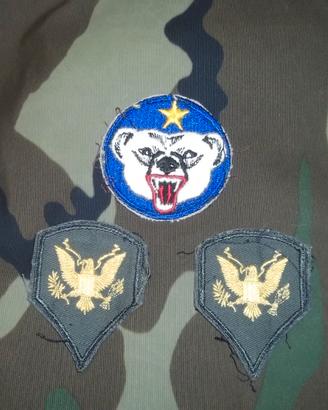 Us Army Alaska Defense Command patches Lot