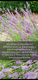 Giardiniere / custode