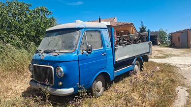fiat 241