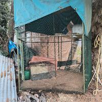 uccelliera esagonale