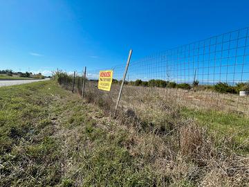 Terreno di 12.000 mq su strada statale