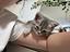 Immagine 4