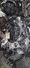 motore-ford-1500-tdci-xxdc-bosch