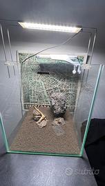 Acquario aquael 49 lt