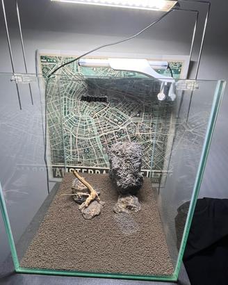 Acquario aquael 49 lt