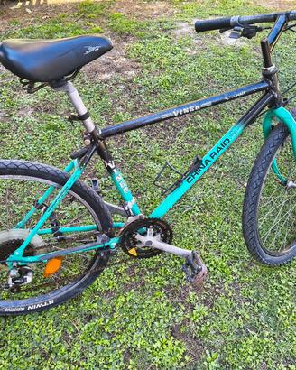 Mountain bike