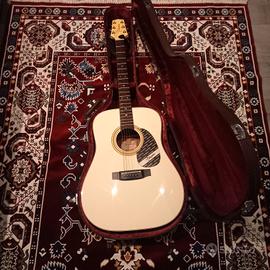 Chitarra Takamine nod. EF25S