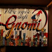 Collezione completa ‘Il libro segreto degli gnomi’