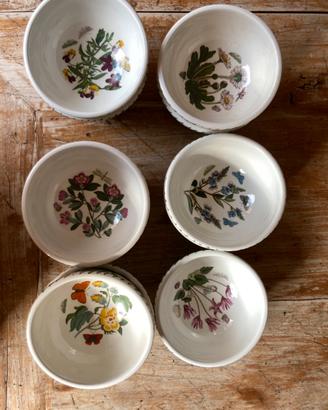 Set 11 Ciotole Portmerion ceramica inglese