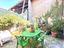 Immagine 7
