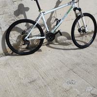 bicicletta mtb