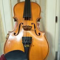 violino 1/2Stentor student ll