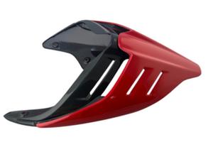 Codone monoposto carbonio Panigale Streetfighter