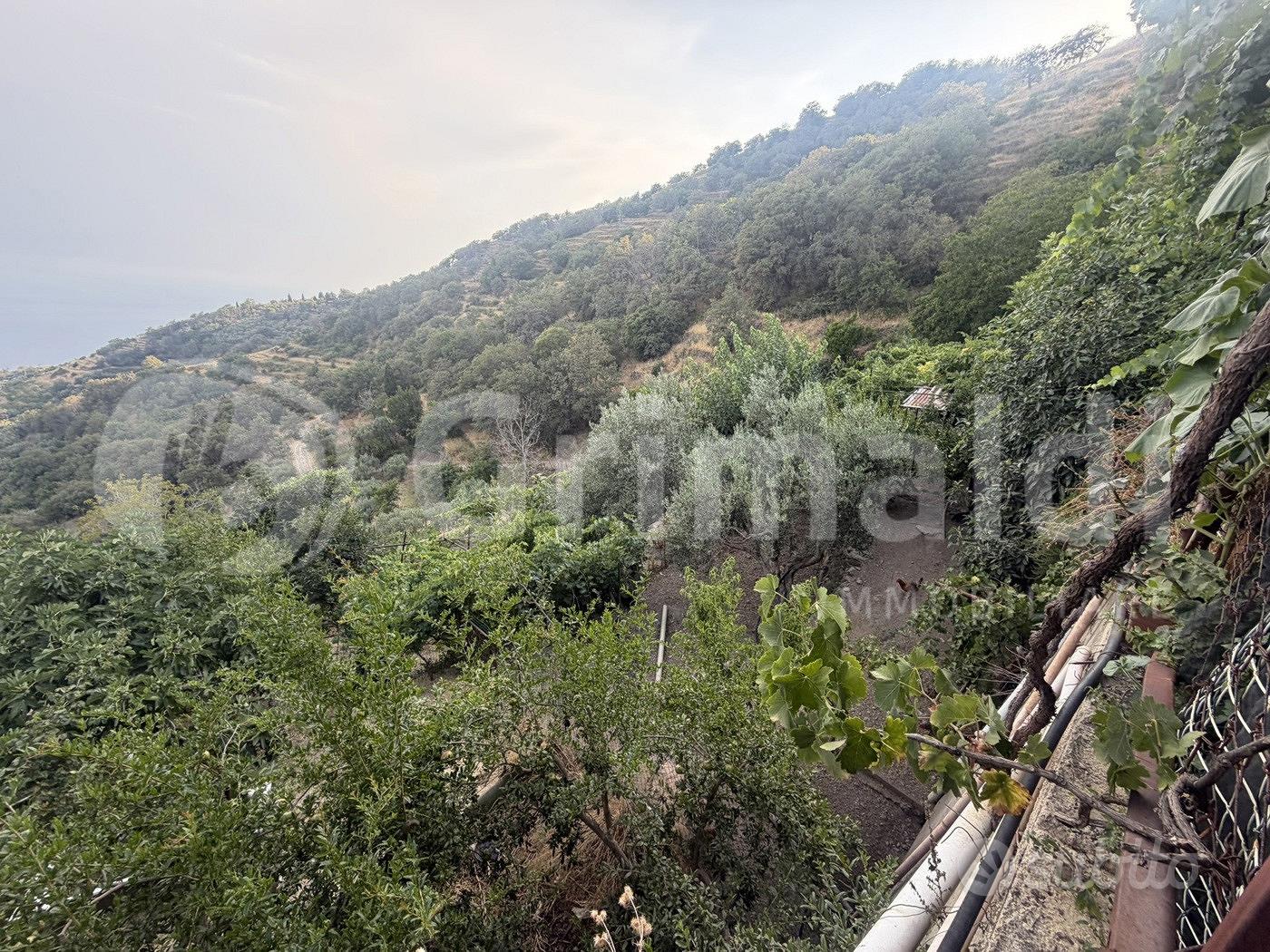 Terreno Agricolo Alì [0681-103VCG] - Vista 3