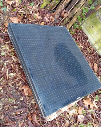 Pannelli fotovoltaici Trienergia 240W 